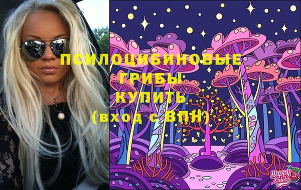 дживик Алзамай