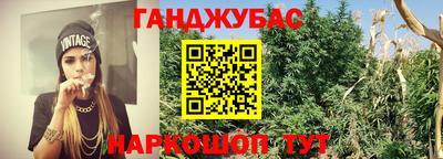 Альфа ПВП Боровичи