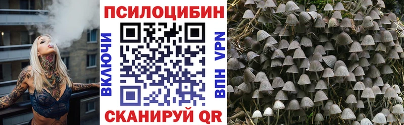 Псилоцибиновые грибы мицелий  mega   Ачинск 