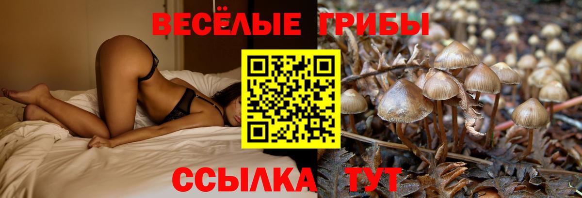 Псилоцибиновые грибы мицелий  Вход с VPN  Ачинск 